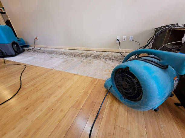 Professional Emergency Water Damage technician working in Elko New Market, MN